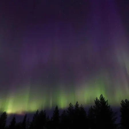 Cone Kuhmo