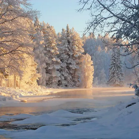 Cone Vila Kuhmo