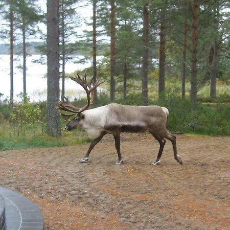 Cone Vila Kuhmo