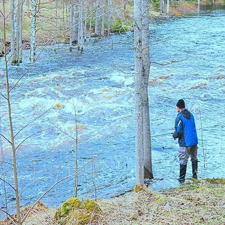 Cone Villa Kuhmo